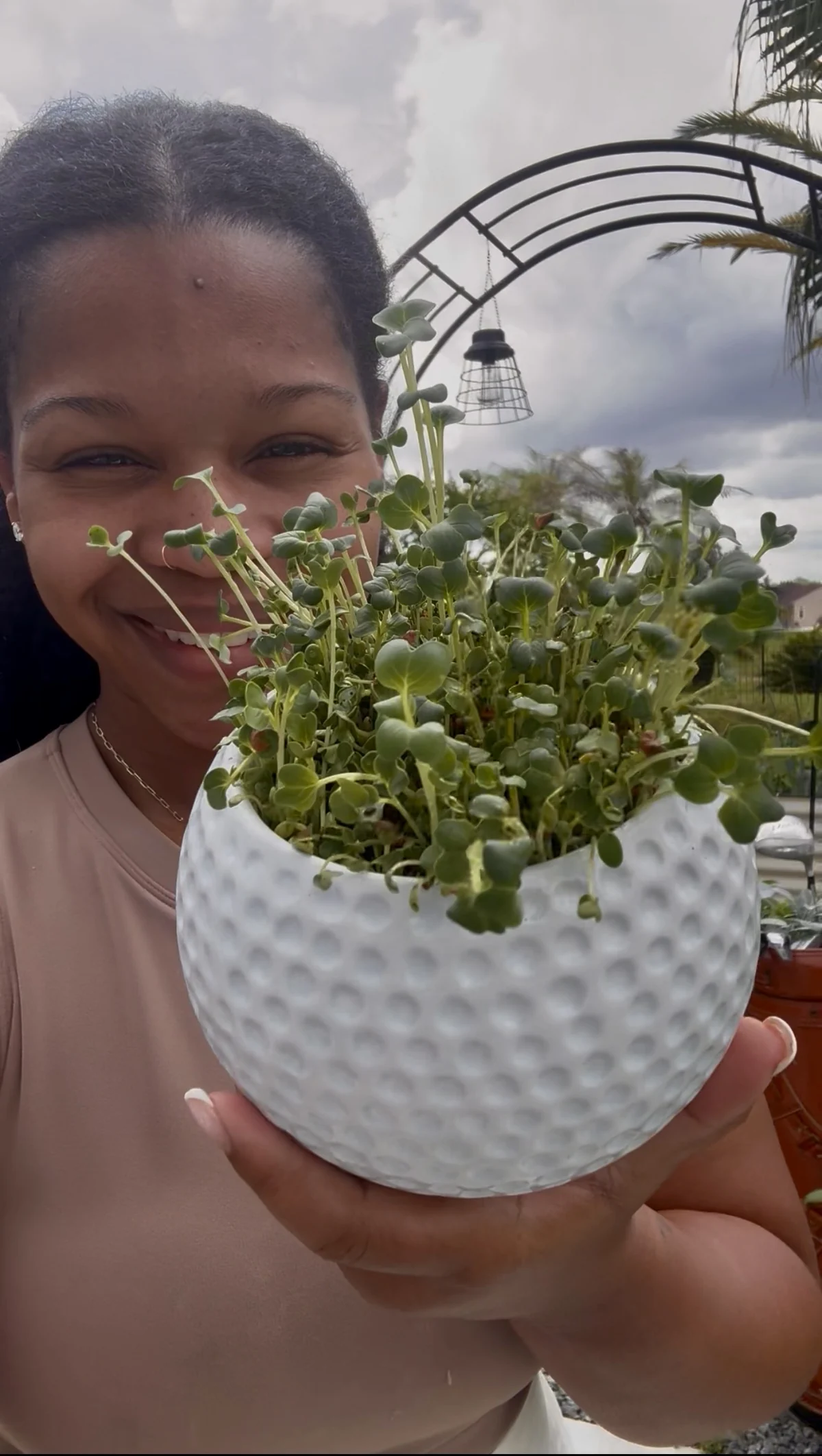 A finished take-home microgreens planter in a golf-ball planter from Plant & Putt